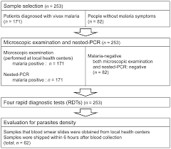 plasmodium vivax malaria in south korea