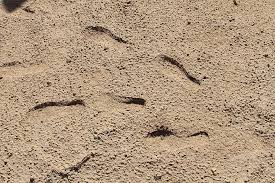 Check spelling or type a new query. Arena Arabia Saudita Huellas En La Arena Huellas Arenosas Desierto Saudita Jesus Arabe Naturaleza Khobar Pxfuel