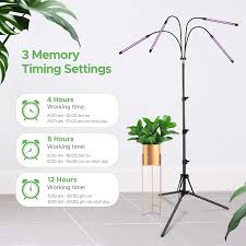 Red blue spectrum lights growing. Buy Grow Light With Stand Ambor Floor Grow Lights For Indoor Plants Adjustable 120w Red Blue Spectrum Plant Grow Lamp With Timer Dual Controllers And Auto On Off Online In Indonesia B08jvlgzj5