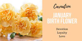 Flowers and birthdays have a long association. Discover Your Birth Flower Interflora