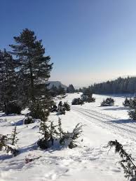 The train station is a hub for transportation in the area. Swabian Alb Premium Winter Traufgang Wintry Baden Wurttemberg Winter Snow Germany Snowy Winter Mood Cold Landscape Pikist