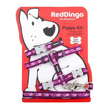 red dingo breezy love puppy pack ocado