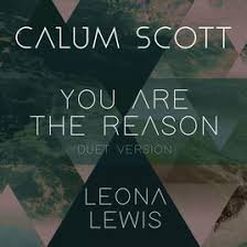 You Are The Reason Duet Version By Calum Scott Leona Lewis On Apple Music Leona Lewis Reason Song Run Lyrics