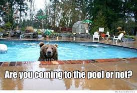 Pin On Swimming Pool Funnies