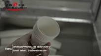 Automatic disposable paper cup forming machine with cup collector paper water cup making machine