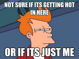 Not Sure If Its Getting Hot In Here Or If Its Just Me Futurama Fry Quickmeme