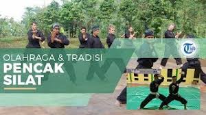 Silat demonstration by 1995 world champ of silat art. Pencak Silat Olahraga Dan Seni Bela Diri Bangsa Melayu Tribun Video