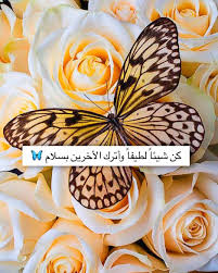 aljanah on instagram أذكار إسلامية ديني دين اسلام اسلامي هاشتاق اذكار صور رمزيات خلفيات تذكير دنيا الاخرة استغفر تو fruit pineapple food