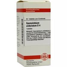 Image result for Xysmalobium