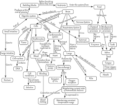 Recurring Patterns In The Development Of High School Biology Students System Thinking Over Time Springerlink