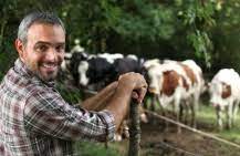 Customer reviews and available services. Livestock Insurance Casey Il Charleston Il Staley Insurance Agency Inc