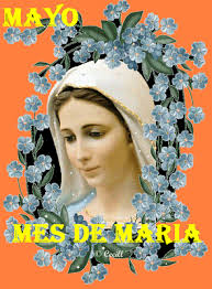 Resultado de imagen de las flores más hermosas del mes de mayo para la virgen en sus manos
