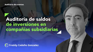 Auditoría de saldos de inversiones en compañías subsidiarias