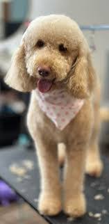 Amy Bever's Instagram, Twitter & Facebook