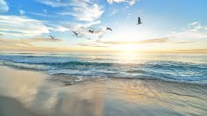 Alumni explain: Why GPS?