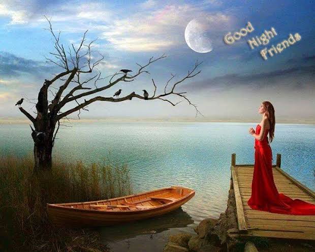 Image result for good night image"