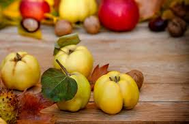 Quitten Gesund Und Heilend Tipps Und Rezepte Fur Das Ganze Wohlbefinden