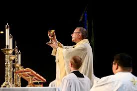 Impressions Of To Light A Fire On The Earth Proclaiming The Gospel In A Secular Age By Robert Barron With John L Allen Jr A Lectionary