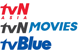 Tvn (total variety network) is a general entertainment network in south korea. Here S How To Watch Tvn Online Outside Korea