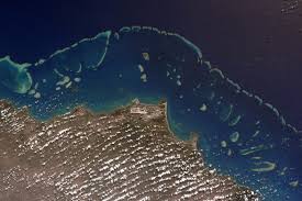 We did not find results for: Great Barrier Reef Photos From Space Tweeted By Nasa Astronaut Kjell Lindgren Abc News