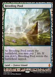 Wasteland - Zendikar Expeditions - Magic: The Gathering