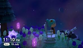 Animal Crossing Star Gazing Area Stargazing Animal Crossing Animals