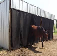 Livestock Curtain Horses Horse Shelter Horse Farms