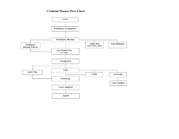 Criminal Procedure Diagram Hodgkisslaw