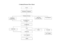 criminal procedure diagram hodgkisslaw