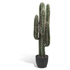 Cactus Artificiel 108 Cm Vase Et Plante Artificielle Objet Decoratif Decoration Gifi