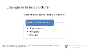 Experts increasingly recognize lithium's importance to human health. Lithium S Mechanism Of Action An Illustrated Review Psychopharmacology Institute