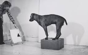 Image result for arte concettuale
