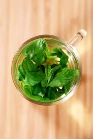 It is vibrant and bursting with mouthwatering flavors. How To Make Mint Tea Fresh Dried Chef Tariq