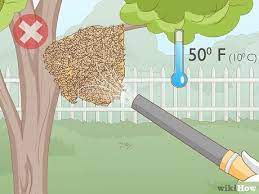 We did not find results for: 3 Ways To Remove Bees Wikihow