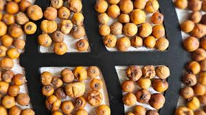 Image result for Afrostyrax lepidophyllus