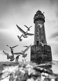 Black And White Lighthouse Wallpaper The Nature Is Being Combined And Represented By The Man Made Structure With Images Lighthouse Black And White Photography Black And White Art Drawing