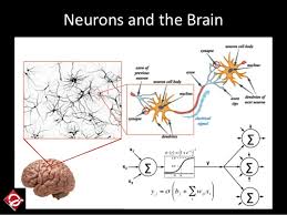 Ii Sdv 2017 The Next Era Deep Learning For Biomedical Research