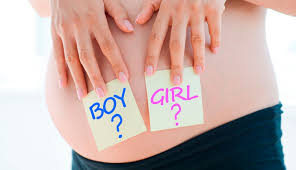 Und wann sind welche untersuchungen angesagt? Schwangerschaft Wie Man Mit Der Nub Theorie Das Baby Geschlecht Fruh