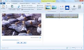 скачать виндовс муви мейкер для виндовс 8 на русском Kinostudiya Windows Live Movie Maker Skachat Besplatno Dlya Windows 7 8 Programma Vindovs Lajf Muvi Mejker Na Russkom Free Software Com Ua