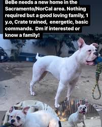 Profile for royal.hussle.bulldogs