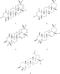 Image result for Manniophyton