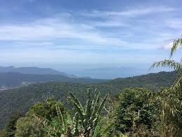 It has 295 km of explored caves which houses millions of bats and swiftlets. Gunung Raya Kedah Malaysia Alltrails