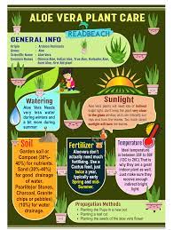 Aloe Vera Plant Care Infographic Aloe Vera Plant Plant Care Indoor Plant Care