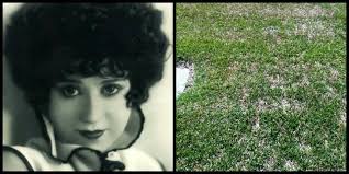 Silence is Platinum: Unmarked