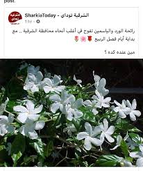 ميران الذي ولد يتيماً وربته جدته عزيزة وزرعت فيه روح الانتقام لوالديه اللذان قتلا على يد (هزار شاد أوغلو) كما تزعم جدته عزيزة. ØªØ¹Ù„ÙŠÙ‚Ø§Øª Ø³Ø§Ø®Ø±Ø© Ù…Ù† Ø§Ù„Ù…ÙˆØ§Ø·Ù†ÙŠÙ† Ø¨Ø¹Ø¯ Ø§Ù†ØªØ´Ø§Ø± Ø±Ø§Ø¦Ø­Ø© Ø§Ù„ÙŠØ§Ø³Ù…ÙŠÙ† ÙÙŠ Ø§Ù„Ø¬Ùˆ Ø´Ø§Ù‡Ø¯