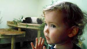 lily jane maccluskey