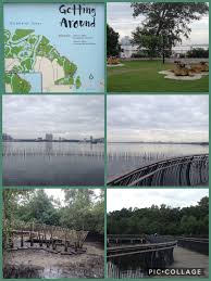 However it does celebrate a special holiday each year for the sultan of johor's birthday. Singapore 2017 January Sungei Buloh Wetland Reserve Johor Singapore Wetland