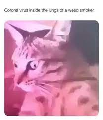 Pin On Memes
