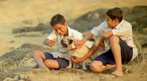 When illness strikes two people who are polar opposites, life and death bring them together in surprising ways. Pune Director S Film About Two Boys And A Dog Wins Hearts Acclaim And Waits For Pandemic To End Cities News The Indian Express