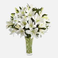 White lily flower, lilium flower, indian lilly, लिली का फूल vetrivelu exports, chennai id: White Lilies Flower Delivery Nyc Florist Plantshed Com